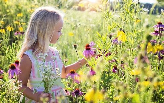 ГРАФИК РАБОТЫ НА ТРОИЦУ 2019