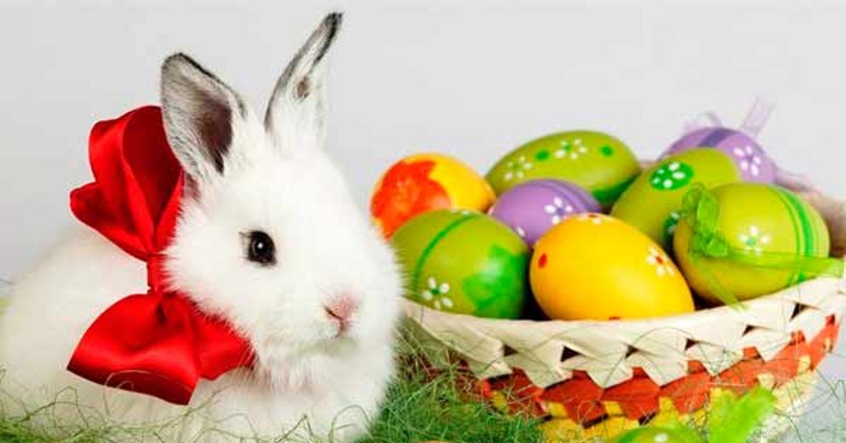 С ПРАЗДНИКОМ ПАСХИ!